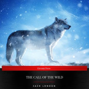 Call of the Wild, Audio book by Jack London