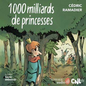 [French] - 1000 milliards de princesses