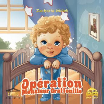 [French] - Operation Monsieur Grattouille