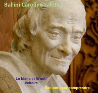 Voltaire, Voltaire 