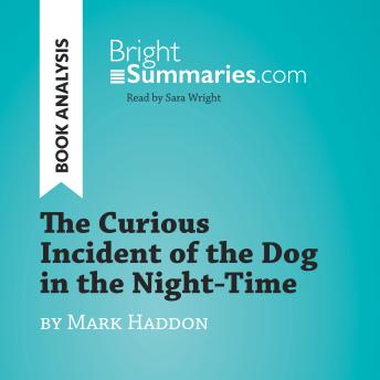 The Curious Incident of the Dog in the Night-Time by Mark Haddon (Book Analysis): Detailed Summary, Analysis and Reading Guide