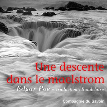 Download Une descente dans le Maelstrom by Edd Mcnair