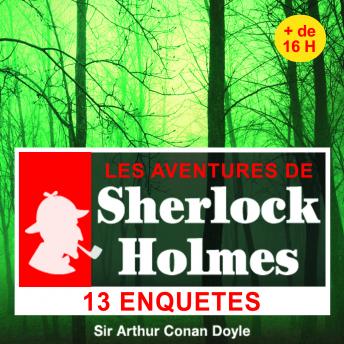 Download 14 enquêtes de Sherlock Holmes by Arthur Conan Doyle