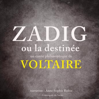 Zadig, Audio book by Voltaire 
