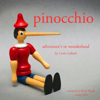 Pinocchio's Adventures in Wonderland
