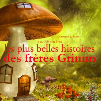 [French] - Les plus belles histoires des frères Grimm