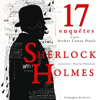 17 nouvelles enquêtes de Sherlock Holmes et du Dr Watson, Audio book by Sir Arthur Conan Doyle