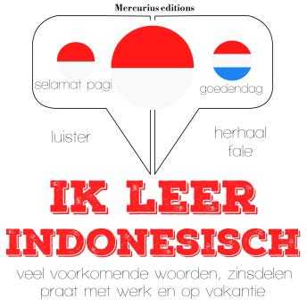 [Dutch; Flemish] - Ik leer Indonesisch: Luister, herhaal, spreek: taalleermethode