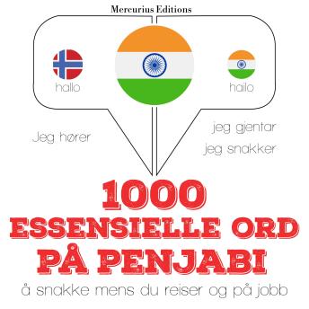 Download 1000 essensielle ord på Penjabi by Jm Gardner