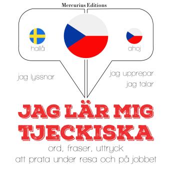 [Swedish] - Jag lär mig tjeckiska: Jeg lytter, jeg gentager, jeg taler: sprogmetode