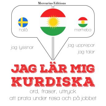 [Swedish] - Jag lär mig kurdiska: Jeg lytter, jeg gentager, jeg taler: sprogmetode