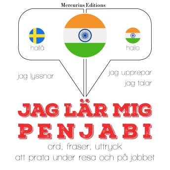[Swedish] - Jag undervisar penjabi: Jeg lytter, jeg gentager, jeg taler: sprogmetode