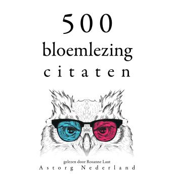 [Dutch; Flemish] - 500 bloemlezing citaten: Verzameling van de mooiste citaten
