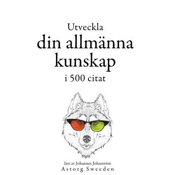 [Swedish] - Utveckla din allmänna kunskap i 500 offerter: Samling av de bästa citat