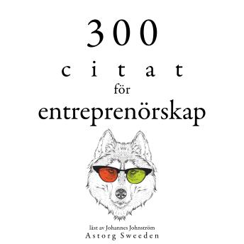 [Swedish] - 300 offerter för entreprenörskap: Samling av de bästa citat