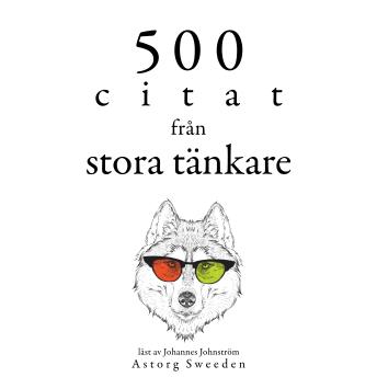[Swedish] - 500 citat från stora tänkare: Samling av de bästa citat