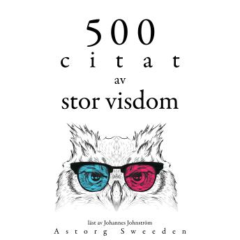 [Swedish] - 500 citat av stor visdom: Samling av de bästa citat