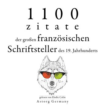 [German] - 1100 Zitate der großen französischen Schriftsteller des 19. Jahrhunderts: Sammlung bester Zitate