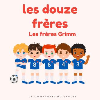 [French] - Les douze frères: Histoires Magiques