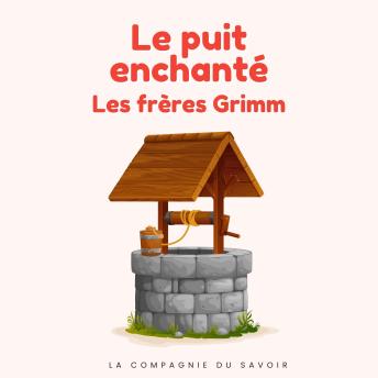 [French] - Le puit enchanté: Histoires Magiques
