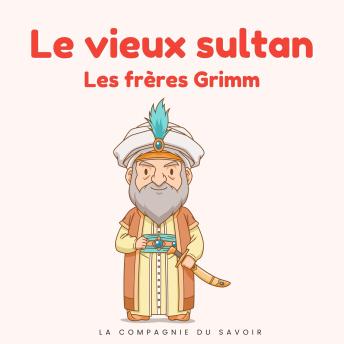 [French] - Le vieux sultan: Histoires Magiques