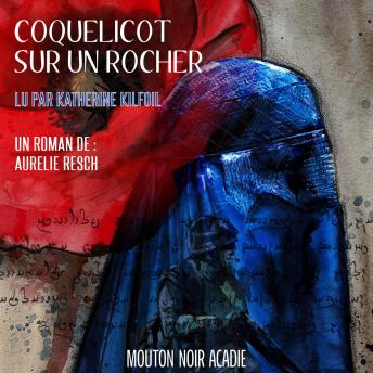 [French] - Coquelicot sur un rocher