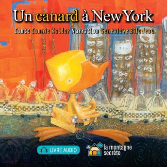 [French] - canard à New York, Un