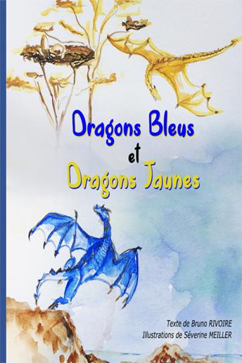 Severine Meiller, Bruno Rivoire - [French] - Dragons Bleus et Dragons Jaunes episode artwork