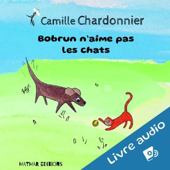 [French] - Bobrun n'aime pas les chats