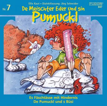 De Meischter Eder und sin Pumuckl Nr. 7: Es Fäschtässe mit Hindernis - De Pumuckl und s Büsi