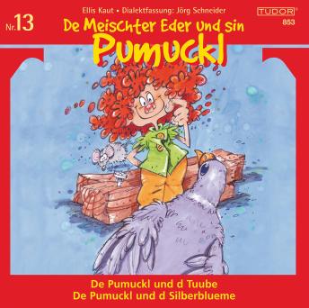 De Meischter Eder und sin Pumuckl Nr. 13: De Pumuckl und d Tuube - De Pumuckl und d Silberblueme