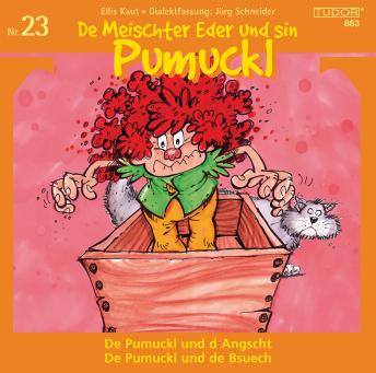 De Meischter Eder und sin Pumuckl Nr. 23: De Pumuckl und d Angscht - De Pumuckl und de Bsuech