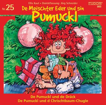 De Meischter Eder und sin Pumuckl Nr. 25: De Pumuckl und de Dr?ck - De Pumuckl und d Chrischtbaum-Chugle