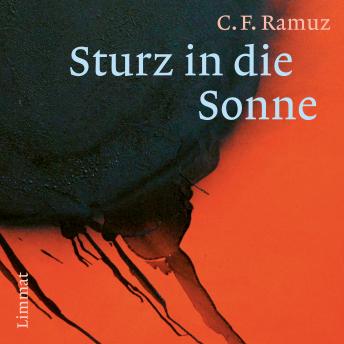 [German] - Sturz in die Sonne: Roman