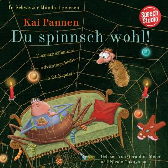 Du spinnsch wohl!: Eine aussergewöhnliche Adventsgeschichte in 24 Kapiteln - Kai Pannen Du spinnsch wohl!: Eine aussergewöhnliche Adventsgeschichte in 24 Kapiteln - Kai Pannen