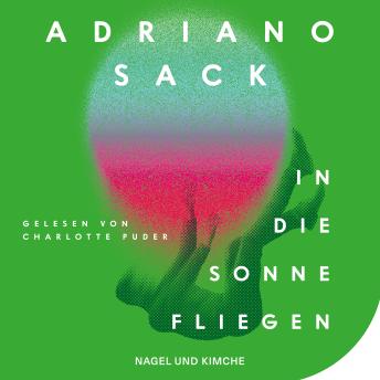 [German] - In die Sonne fliegen: Roman | Eine zeitgemäße Satire auf die Welt der Schönen und Reichen | Provokant, wild, lustig und tragisch zugleich 