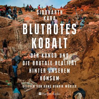 [German] - Blutrotes Kobalt. Der Kongo und die brutale Realität hinter unserem Konsum (ungekürzt)