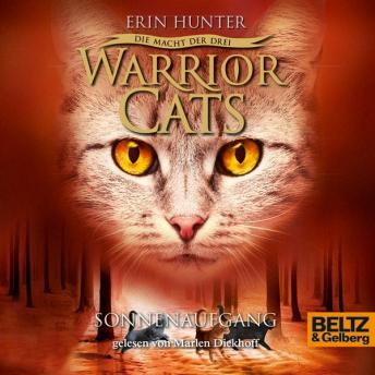 [German] - Warrior Cats - Die Macht der drei. Sonnenaufgang: III, Folge 6