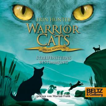 [German] - Warrior Cats - Special Adventure 4. Streifensterns Bestimmung