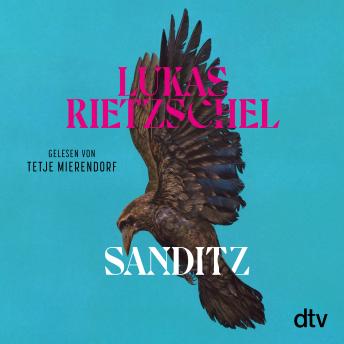[German] - Sanditz: Roman | Das große Epos der Nachwendezeit: »Rietzschel ist eine der wichtigsten jungen Stimmen Ostdeutschlands.« Frankfurter Allgemeine Zeitung