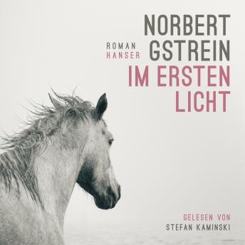 [German] - Im ersten Licht: Roman