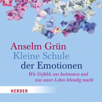 [German] - Kleine Schule der Emotionen: Wie Gefühle uns bestimmen und was unser Leben lebendig macht - gelesen von Helmut Mooshammer