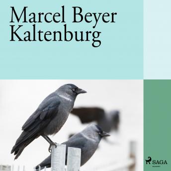Discover Top Full Audiobooks in Fiction, Coming of Age