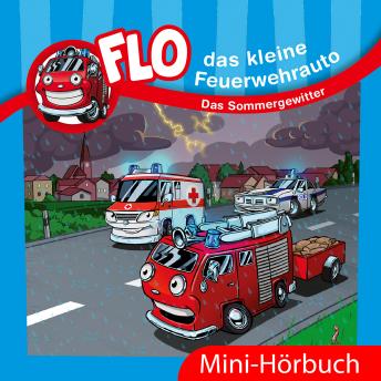 [German] - Das Sommergewitter