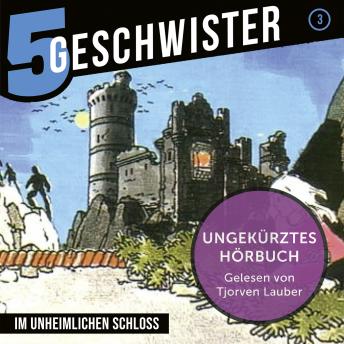 [German] - 03: Im unheimlichen Schloss: Ungekürztes Hörbuch