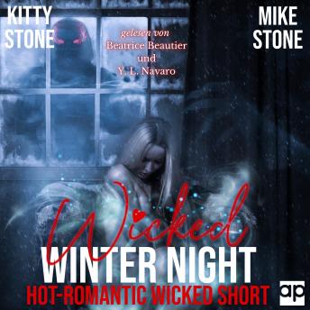 [German] - Wicked Winter Night: Hot-Romantic Wicked Short