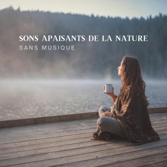 [French] - Sons Apaisants de la Nature (Sans Musique) pour un Sommeil Profond, Méditation et Relaxation: Plongez dans l'univers relaxant des sons de la nature pure