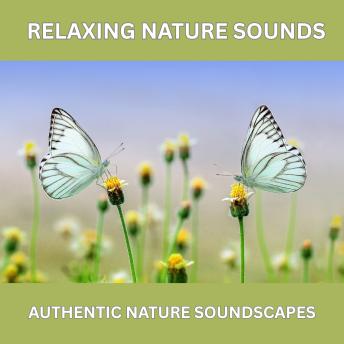 Relaxing Nature Sounds – Over 10 Hours of Pure Natural Ambience (Without Music): Authentic Nature Soundscapes for Deep Relaxation, Sleep, Meditation, Stress Relief & a Calm Home Atmosphere