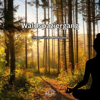 [German] - Waldspaziergang - Eine geführte Meditation