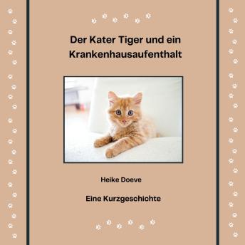 [German] - Der Kater Tiger und ein Krankenhausaufenthalt